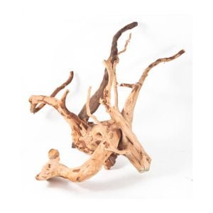 volgorde Pelagisch Jongleren Spiderwood Groot (40-50 cm) - Dutch Rana